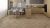 плитка Alpine floor Дуб Синистра ECO 18-6 MC фото винила Дуб Синистра ECO 18-6 MC